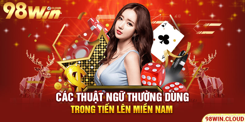 Các thuật ngữ thường dùng trong tiến lên miền Nam 
