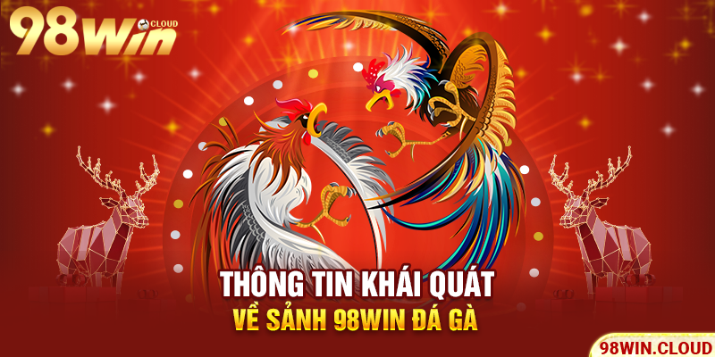 Thông tin khái quát về sảnh 98win đá gà
