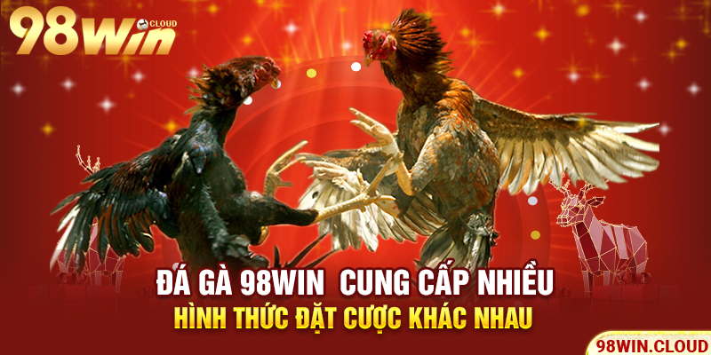 Đá gà 98win cung cấp nhiều hình thức đặt cược khác nhau
