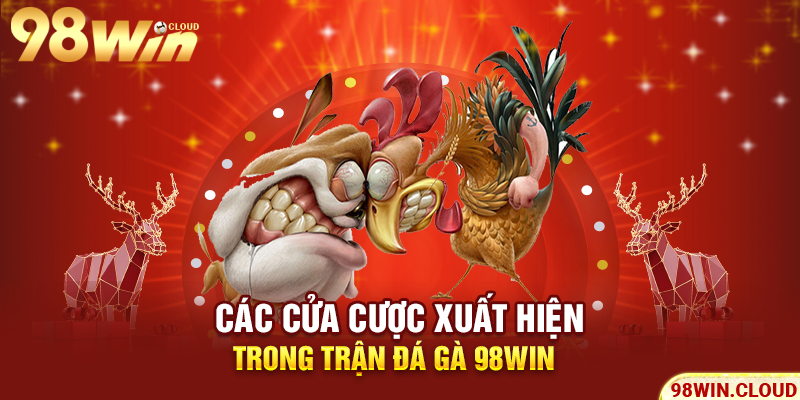 Các cửa cược xuất hiện trong trận đá gà 98win
