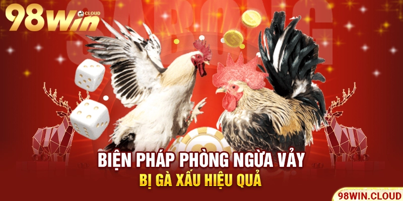 Biện pháp phòng ngừa vảy bị gà xấu hiệu quả