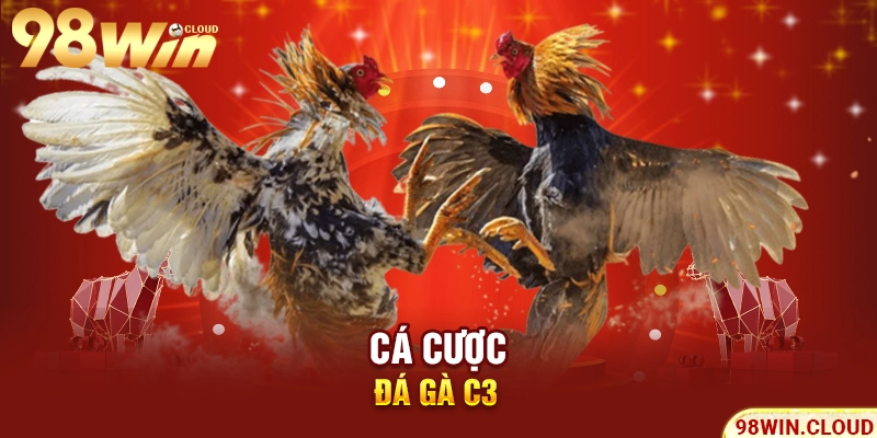 Cá cược đá gà C3