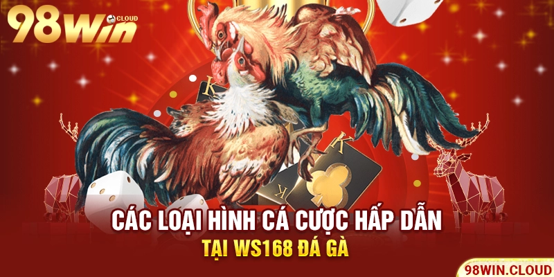Các loại hình cá cược hấp dẫn tại Ws168 Đá Gà