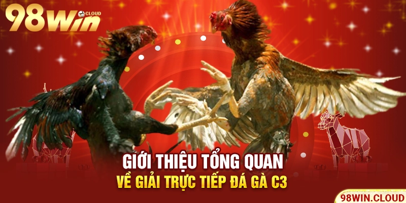 Giới thiệu tổng quan về giải trực tiếp đá gà C3