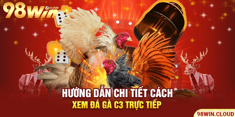 Hướng dẫn chi tiết cách xem đá gà C3 trực tiếp