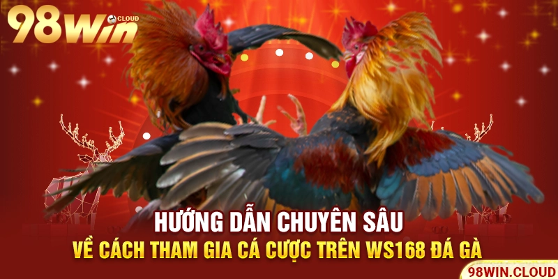 Hướng dẫn chuyên sâu về cách tham gia cá cược trên Ws168 đá gà 