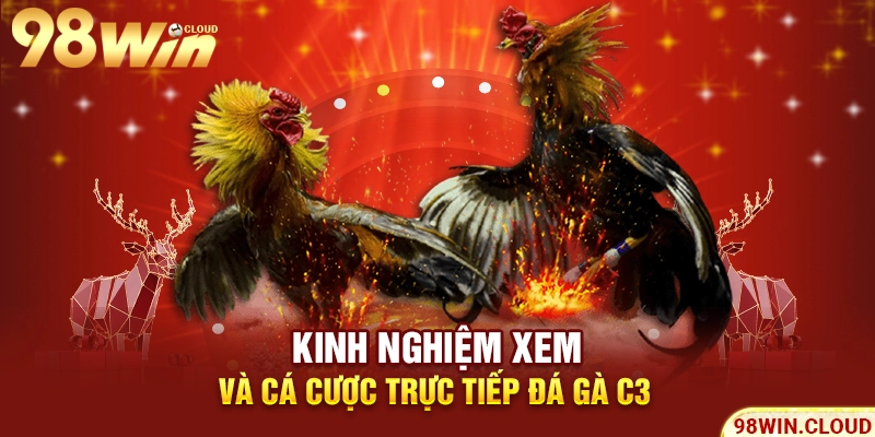 Kinh nghiệm xem và cá cược trực tiếp đá gà C3