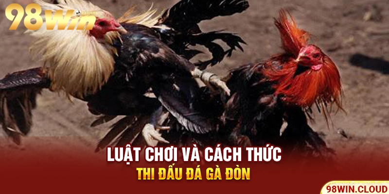 Luật chơi và cách thức thi đấu đá gà đòn
