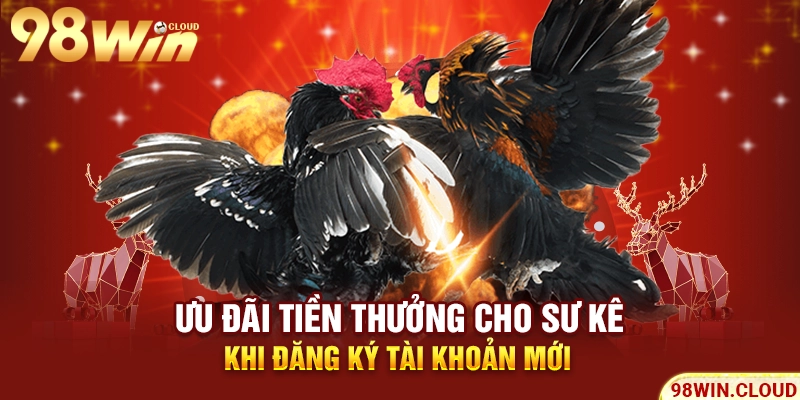 Ưu đãi tiền thưởng cho sư kê khi đăng ký tài khoản mới