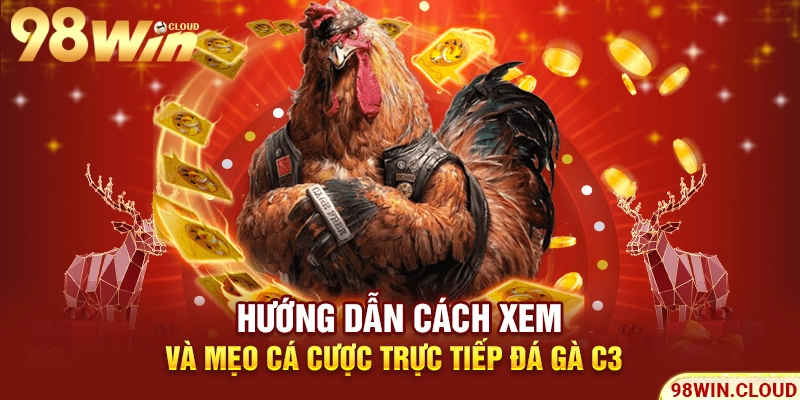 Hướng dẫn cách xem và mẹo cá cược trực tiếp đá gà C3 