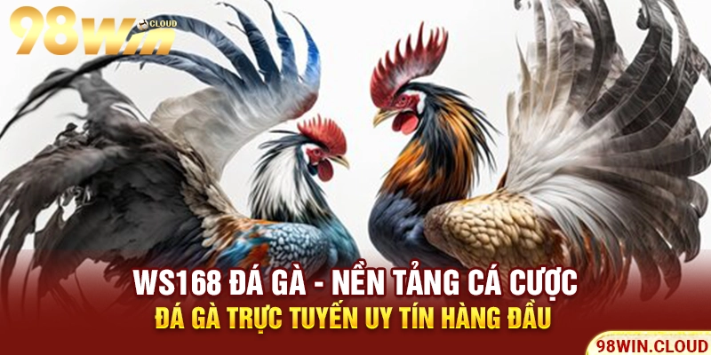 Ws168 đá gà - Nền tảng cá cược đá gà trực tuyến uy tín hàng đầu